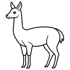 Obraz premium Sleek Vicuna One-Line Vector Art