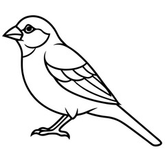 Sparrow Outline One Line Vector Design