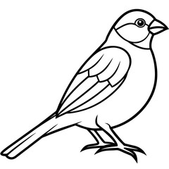 Obraz premium Sparrow Outline One Line Vector Design