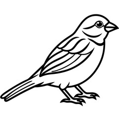 Obraz premium Sparrow Outline One Line Vector Design