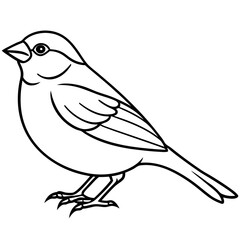 Obraz premium Sparrow Outline One Line Vector Design