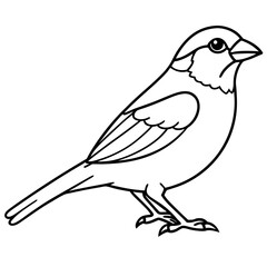 Sparrow Outline One Line Vector Design