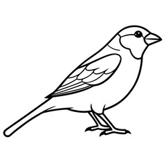 Sparrow Outline One Line Vector Design