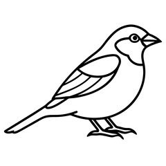 Obraz premium Sparrow Outline One Line Vector Design