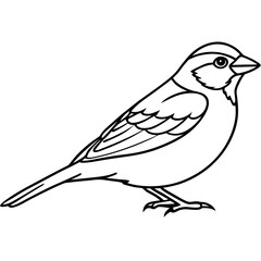 Sparrow Outline One Line Vector Design