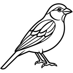 Sparrow Outline One Line Vector Design