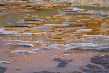 Travertine formations from hot spring water run off, Yellowstone National Park
