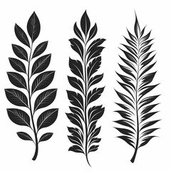 Obraz premium Elegant black and white botanical illustrations three stylized leaf designs nature minimalist