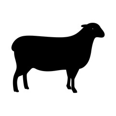 Silhouette of a Sheep Standing on , transparent . Animal Illustration, Simple Design