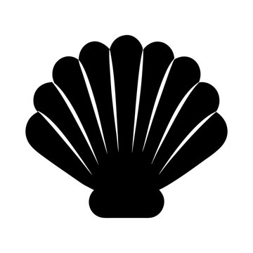Black silhouette of a seashell with radial pattern, transparent . marine life and simple shell design