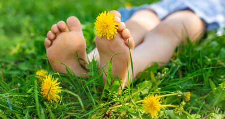child feet in a garden with dandelions. Selective focus.