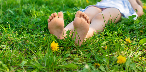child feet in a garden with dandelions. Selective focus.