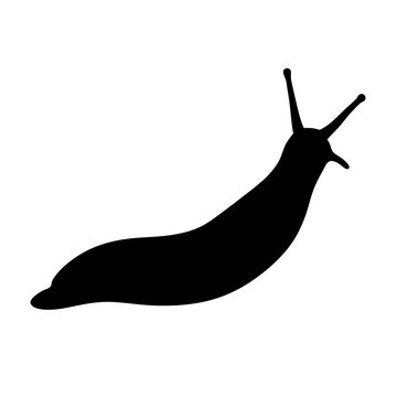 A black silhouette of a slow moving slug with antennae visible