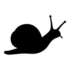A Simple Vector Image of a Snail, Depicted in Black and White