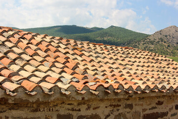 Old terracotta roof tiles covering building in rural landscape