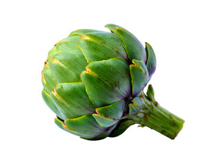 artichoke on  transparent background