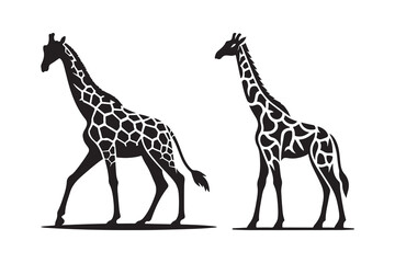 silhouette icon of a giraffe isolated on a white background