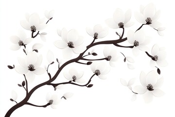 Delicate White Magnolia Blossoms Branching Out