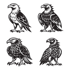 Wings Icon Set Elegant and Decorative Vector Illustrations