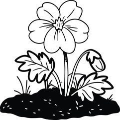 vector illustration of a white flower