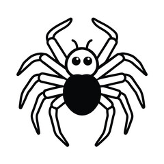 black spider isolated on white background