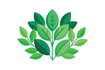 Naklejka premium green leaves isolated on white background