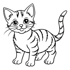 Obraz premium Cat Line Art &nbsp;Illustration