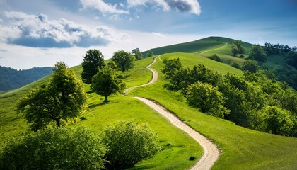 pathways on the hills and natural green trees