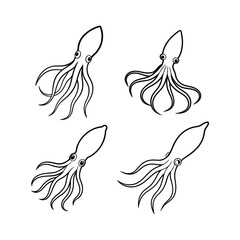 A set of fresh squid line art vector illustration