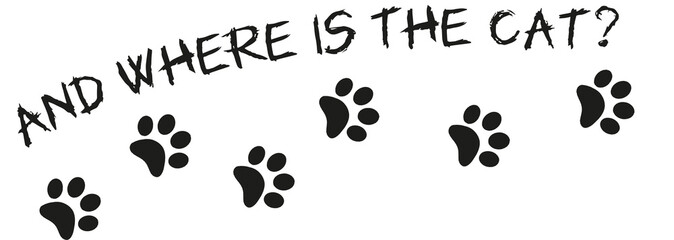 Where is the cat? Cat tracks