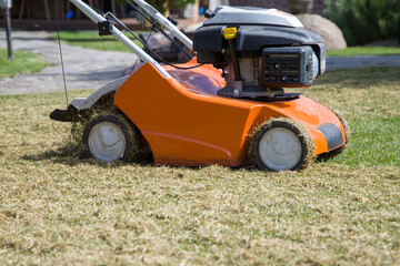 Obraz premium Scarifier is breaking up and removing unwanted grass or plants that are covering the surface of a lawn