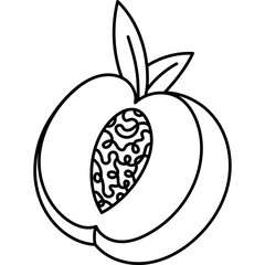 Lovely outline peach cut in half with pit and leaves. Childish summertime fruit from tropics with sweet juicy pulp isolated on white background. Trendy hand drawn doodle of vegetarian healthy food.