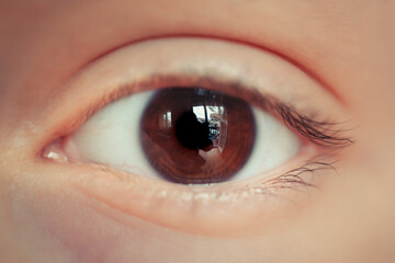 Macro Human Eye Close-Up