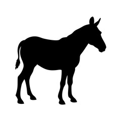 zebra icon, zebra silhouette vector illustration-Editable Vector Art of zebra,zebra vector