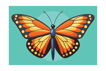 Obraz premium butterfly vector illustration