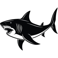 Aggressive Shark Black and White Vector Ocean Predator Art