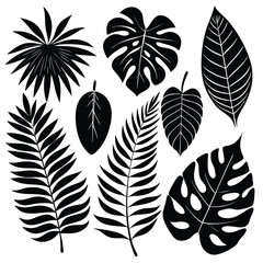 8 tropical leaf silhouettes with a mix of different shapes and sizes, including palm, fern, and rubber tree leaves 