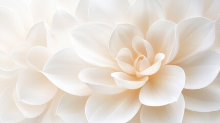 Obraz premium Elegant closeup, a flower's delicate beauty on pure white background closeup