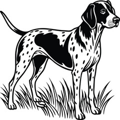 Black and White Vector Illustration of English Pointer Dog in Grassy Field, Pointer Dog Field, Hunting Dog Vector, Grassy Dog Art
