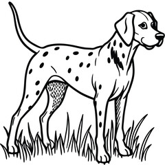 Black and White Vector Illustration of English Pointer Dog in Grassy Field, Pointer Dog Field, Hunting Dog Vector, Grassy Dog Art

