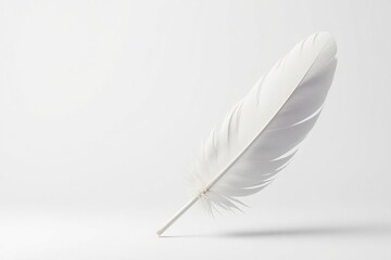 Obraz premium Crisp white feathers against stark white backdrop, bird, clean