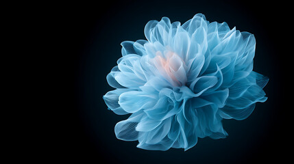 Neon glowing blue flower on black background
