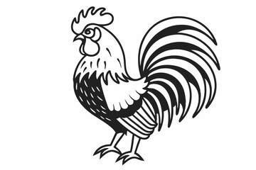 rooster isolated on white