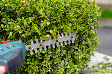 Battery-powered garden shears for trimming and shaping crown of bushes and plants