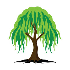 Isolated vector image of a stylized weeping willow tree on white background © AIGen Studio
