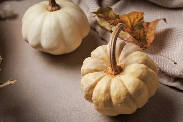 White pumpkin placed on neutral background with fall leaves and textured blanket