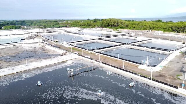 Aerial view of industrial shrimp or fish ponds located near a lush mangrove forest and coastline. High-angle perspective showing the aquaculture infrastructure and coastal environment.