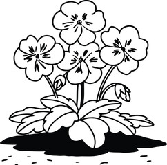 black and white flower