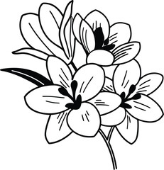 vector illustration of lily flower