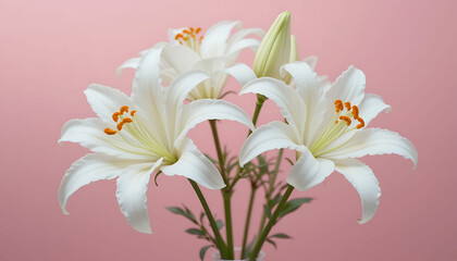Obraz premium A bouquet of white lilies with orange stamens against a soft pink background in a studio setting